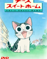 Mái Ấm Của Mèo Chi Mái Ấm Của Mèo Chi