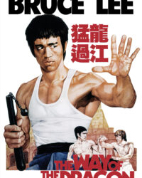 Mãnh Long Quá Giang Mãnh Long Quá Giang