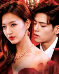 Minh Nguyệt Không Chỉ Chiếu Riêng Ta