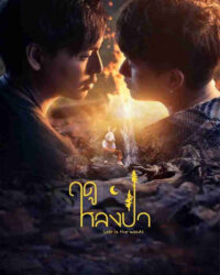 Mùa Lạc Trong Rừng