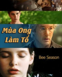 Mùa Ong Làm Tổ