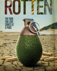 Mục ruỗng (Phần 2)