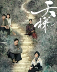 Nấc Thang Tình Yêu