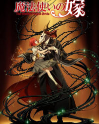 Nàng Dâu Của Ma Pháp Sư