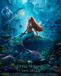 Nàng Tiên Cá Nàng Tiên Cá