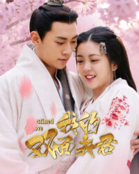 Ngã Đích Song Diện Phu Quân