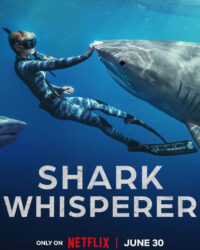 Người bạn của cá mập