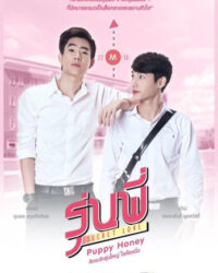 Người Tình Cún Con