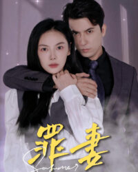 Người Vợ Tội Lỗi