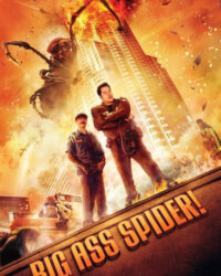 Nhện Mông To Nhện Mông To