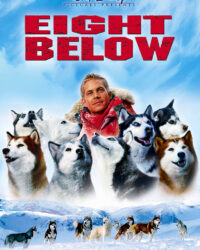 Những Chú Chó Dũng Cảm