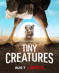 Những sinh vật tí hon