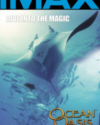 Ốc Đảo Của Đại Dương