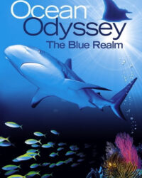 Ocean Odyssey: The Blue Realm