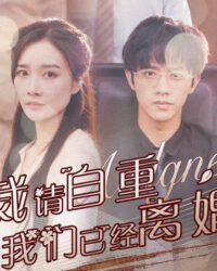 Ông Tổng Giám Đốc, Xin Hãy Tự Trọng - Chúng Ta Đã Ly Hôn Rồi