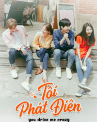 Phát Điên Vì Tình