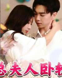 Phó Tổng, phu nhân lại làm điều dại dột rồi.