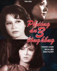 Phương Án Ba Bông Hồng