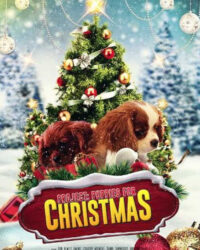 Quà Giáng Sinh Bất Ngờ