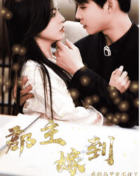 Quận chúa gả đến, danh tính của tôi không giấu nổi nữa rồi