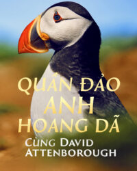 Quần Đảo Anh Hoang Dã