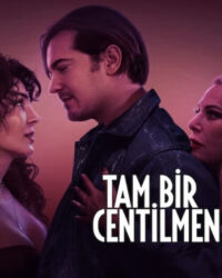 Quý Ông Đích Thực Quý Ông Đích Thực