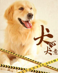 Quyết tâm của chó