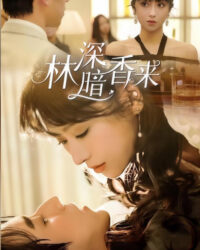 Rừng Sâu Hương Ngọt Rừng Sâu Hương Ngọt