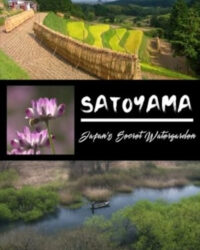 SATOYAMA: Khu Vườn Thủy Sinh Tuyệt Vời SATOYAMA: Khu Vườn Thủy Sinh Tuyệt Vời