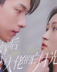 Sau Khi Thay Thế Kết Hôn, Tôi Trở Thành Ánh Trăng Trắng Của Ông Chủ Sau Khi Thay Thế Kết Hôn, Tôi Trở Thành Ánh Trăng Trắng Của Ông Chủ
