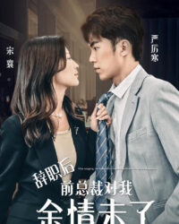 Sau khi từ chức, tổng tài cũ vẫn còn tình cảm với tôi.