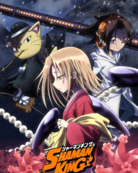 Shaman King: Vua pháp thuật