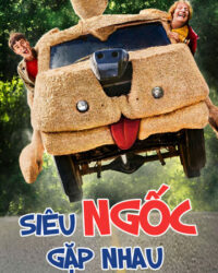 Siêu Ngốc Gặp Nhau