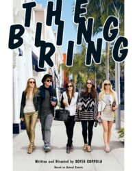 Siêu Trộm Tuổi Teen