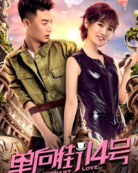 Số 14 đường ngược chiều Số 14 đường ngược chiều