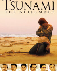 Sóng Thần: Hậu Quả