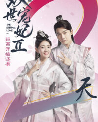 Song Thế Sủng Phi 2