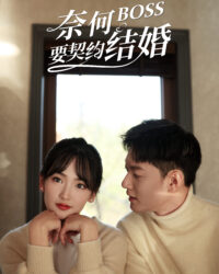 Tại Sao Sếp Muốn Kết Hôn Hợp Đồng Tại Sao Sếp Muốn Kết Hôn Hợp Đồng