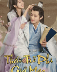 Thái Tử Phi Giả Mạo