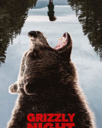 Thảm Kịch Gấu Nâu