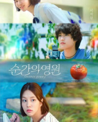 Thanh Xuân Bất Tận