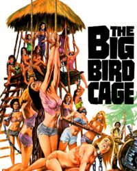 The Big Bird Cage