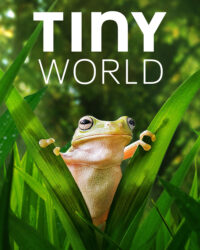 Thế Giới Siêu Nhỏ (Phần 2)