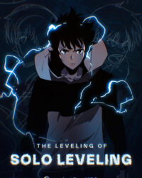 THE LEVELING OF SOLO LEVELING THE LEVELING OF SOLO LEVELING