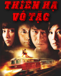 Thiên Hạ Vô Tặc