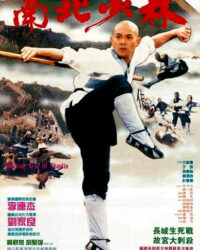 Thiếu Lâm Tự 3: Nam Bắc Thiếu Lâm Thiếu Lâm Tự 3: Nam Bắc Thiếu Lâm