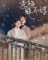 Thuê Bạn Trai CEO Về Nhà Ăn Tết Thuê Bạn Trai CEO Về Nhà Ăn Tết