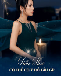 Tiểu Thư Có Thể Có Ý Đồ Xấu Gì?