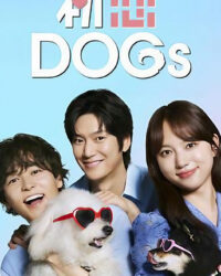 Tình Đầu Cún Cưng