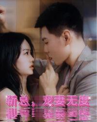 Tình Yêu Vô Hạn Của Tổng Giám Đốc Jin